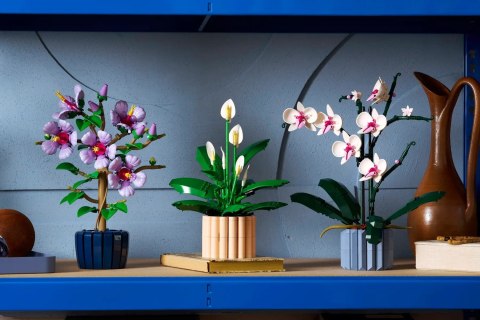 LEGO Botanical Collection 11504 - Skrzydłokwiat