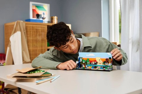 LEGO Minecraft 21589 - Minibiomy