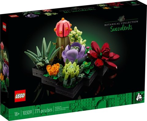 LEGO Botanical Collection 10309 - Sukulenty