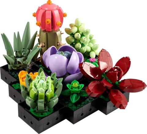 LEGO Botanical Collection 10309 - Sukulenty