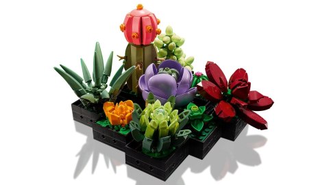 LEGO Botanical Collection 10309 - Sukulenty