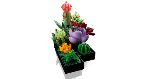 LEGO Botanical Collection 10309 - Sukulenty