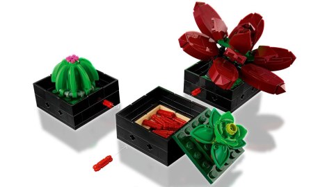 LEGO Botanical Collection 10309 - Sukulenty