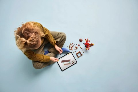 LEGO Harry Potter 76448 - Fawkes: Feniks Dumbledore'a