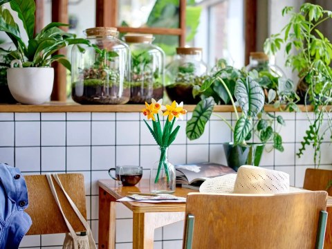 LEGO Okolicznościowe 40747 - Żonkile