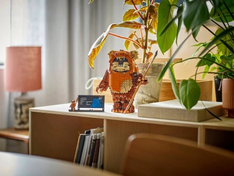 LEGO Star Wars 75430 - Ewok Wicket