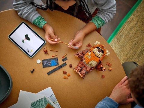 LEGO Star Wars 75430 - Ewok Wicket