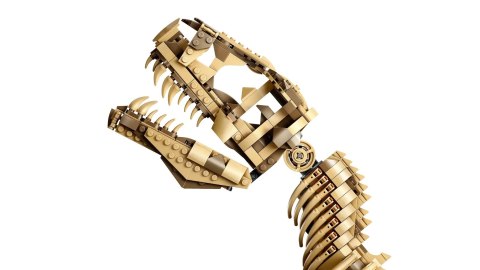 LEGO Jurrasic World 76968 - Szkielety dinozaurów, Tyranozaur