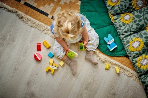 LEGO Duplo 10477 - Kreatywne zwierzaki 3 w 1