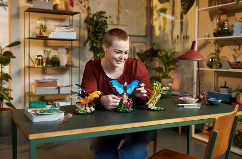 LEGO Ideas 21342 - Kolekcja owadów