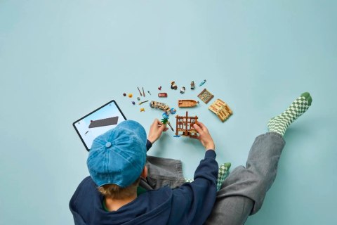 LEGO One Piece 75636 - Chatka w wiosce Fuusha