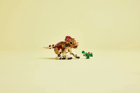 LEGO Jurassic World 76970 - Mały dinozaur Dolores: aquilops