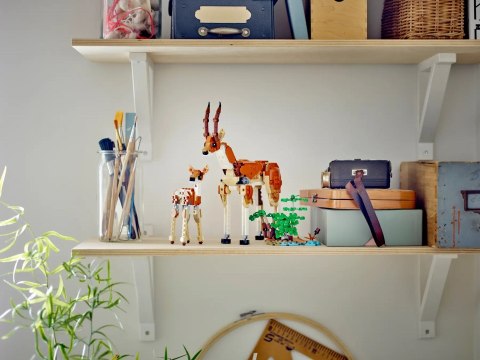 LEGO Creator 3w1 31150 - Dzikie zwierzęta z safari