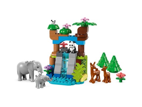 LEGO Duplo 10446 - Rodziny dzikich zwierząt 3 w 1