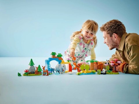LEGO Duplo 10446 - Rodziny dzikich zwierząt 3 w 1