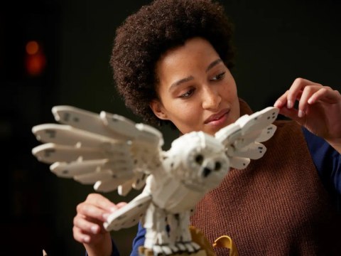 LEGO Harry Potter 76391 - Ikony Hogwartu (Edycja Kolekcjonerska)