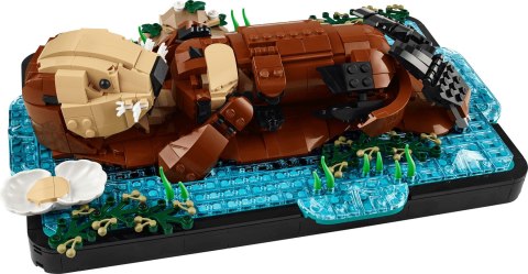LEGO Ideas 21366 - Pływające wydry