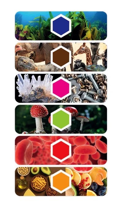 Naukowa Zabawa Mikroskop Digital Interaktywny z AI i Kamerą Wi-Fi Język Polski Clementoni 50406 Clementoni