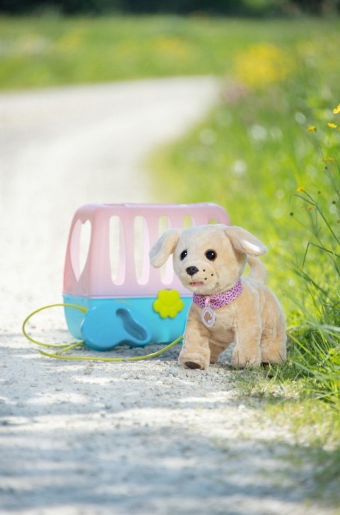 Interaktywny piesek Labrador Lucky na smyczy Baby Born Zapf