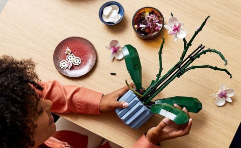 LEGO Icons 10311 - Orchidea