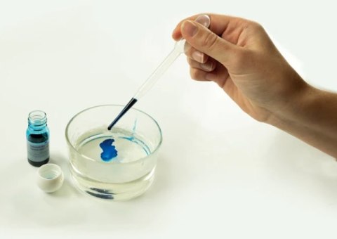 Naukowa Zabawa Zestaw Morskie Mydełka Język Polski Clementoni 50709 Clementoni