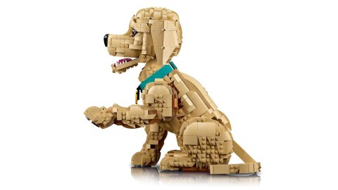 LEGO 11384 Icons - Szczeniak golden retriever