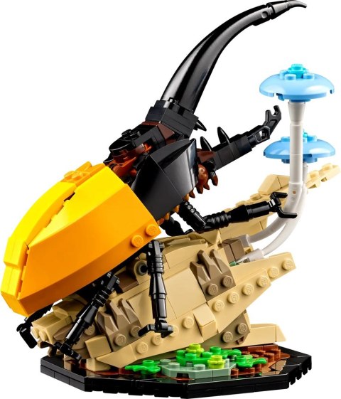 LEGO Ideas 21342 - Kolekcja owadów