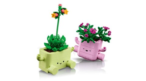 LEGO 11506 Botanicals - Bujające się roślinki
