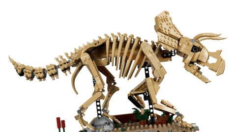 LEGO Jurassic World 77985 - Szkielety dinozaurów: Triceratops