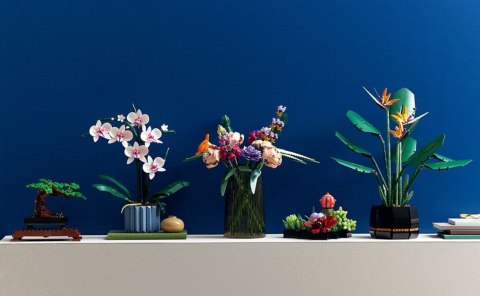 LEGO Icons 10311 - Orchidea