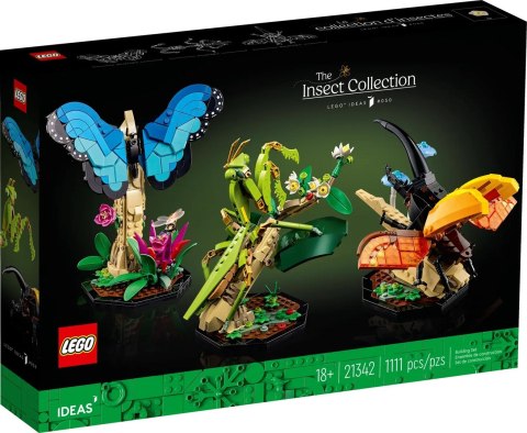 LEGO Ideas 21342 - Kolekcja owadów