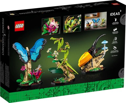 LEGO Ideas 21342 - Kolekcja owadów