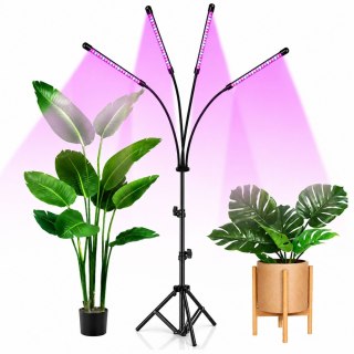Lampa LED Do Wzrostu Uprawy I Doświetlania Roślin Statyw 4 Panele Pilot