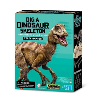 Zestaw naukowy Wykopaliska - Velociraptor 4m