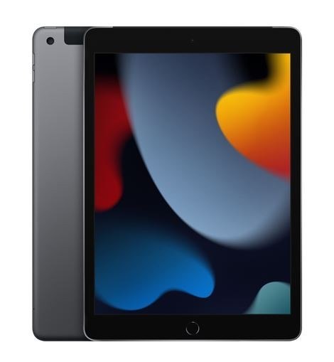 IPad 10.2 cala Wi-Fi + Cellular 256GB - Gwiezdna szarość Apple