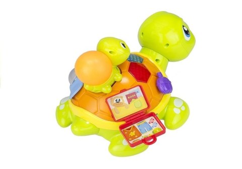 Kolorowy Żółw Interaktywny + Żółwiątko Świeci Gra LEAN Toys