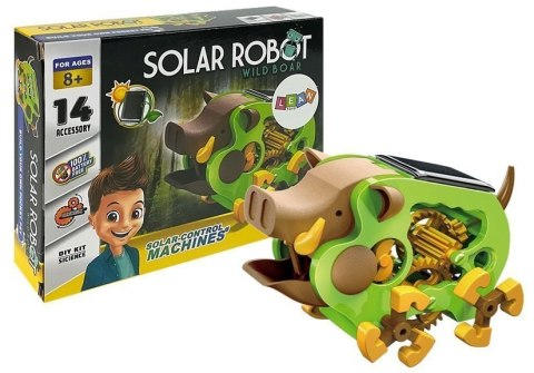 Edukacyjny Robot Do Złożenia Solarny Dzik DIY Zielony LEAN Toys