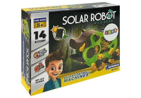 Edukacyjny Robot Do Złożenia Solarny Dzik DIY Zielony LEAN Toys