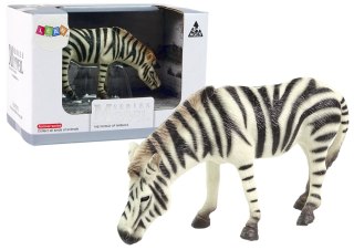 Duża Figurka Kolekcjonerska Zebra Zwierzęta Świata LEAN Toys