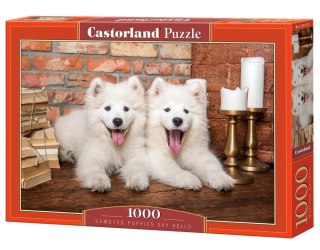 Puzzle 1000 elementów Szczeniaki Samoyed Castor