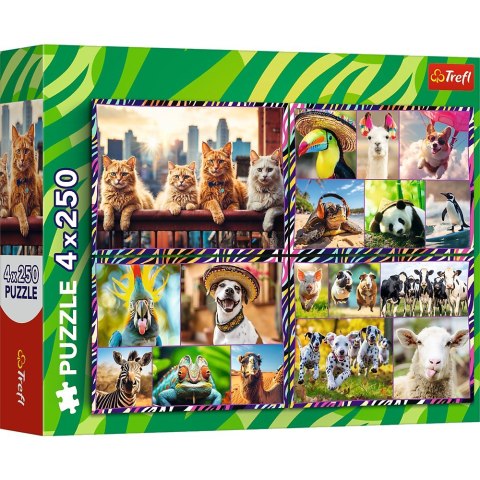 Puzzle 4x250 elementów Zabawne zwierzaki Trefl