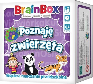 Gra BrainBox - Poznaję zwierzęta Rebel