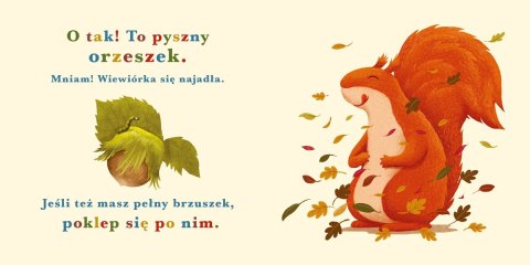 Książeczka Rok w lesie. Wiewiórka Nasza księgarnia