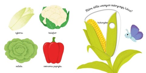 Książeczka Warzywa. Akademia mądrego dziecka Harper Collins