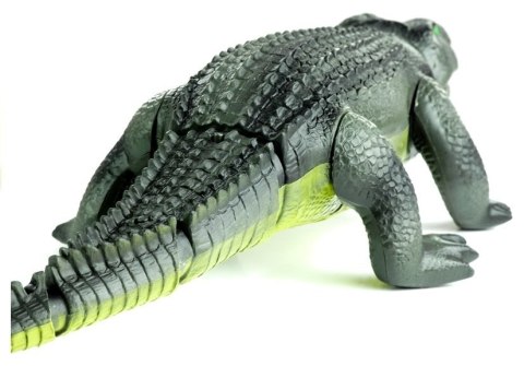 Zdalnie Sterowany Aligator R/C Chodzi Duży Zielony LEAN Toys