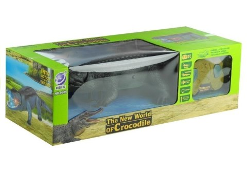 Zdalnie Sterowany Aligator R/C Chodzi Duży Zielony LEAN Toys