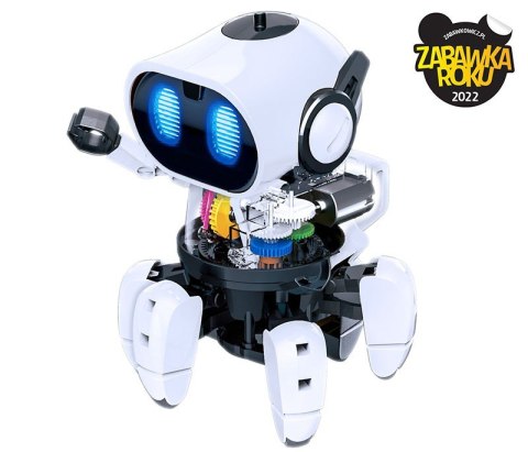 Robot Chipz. Inteligentny robot Piatnik