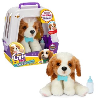 Maskotka interaktywna Little Live Pets - Piesek z transporterem Cobi