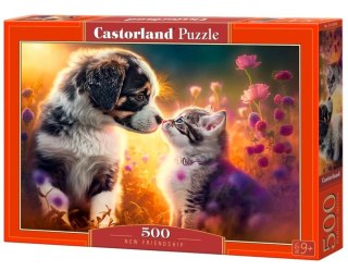 Puzzle 500 elementów Kotek piesek nowa przyjaźń Castor