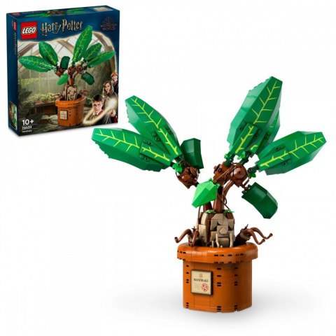 Klocki Harry Potter 76433 Mandragora LEGO